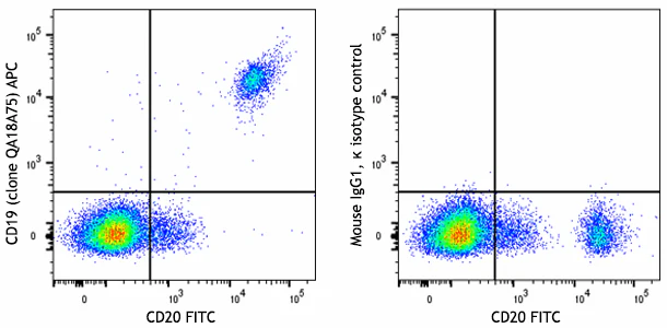 APC anti-human CD19 Recombinant