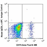 APC anti-human CD196 (CCR6) - Image 2
