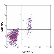 APC anti-human CD1c