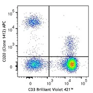 APC anti-human CD20 (cytoplasmic)