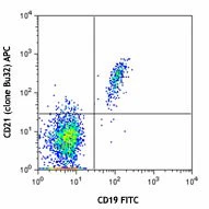 APC anti-human CD21