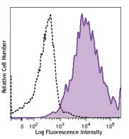 APC anti-human CD213a1 (IL-13Rα1)
