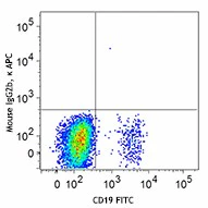 APC anti-human CD22 - Image 2