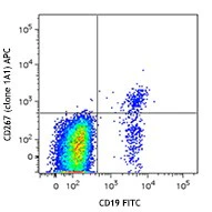 APC anti-human CD267 (TACI)