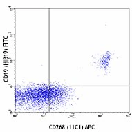 APC anti-human CD268 (BAFF-R)
