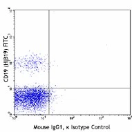 APC anti-human CD268 (BAFF-R) - Image 2