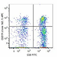 APC anti-human CD319 (CRACC)