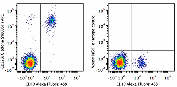 APC anti-human CD32B/C