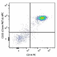 APC anti-human CD33