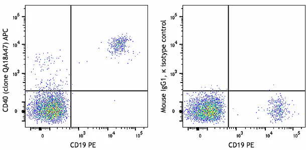 APC anti-human CD40 Recombinant