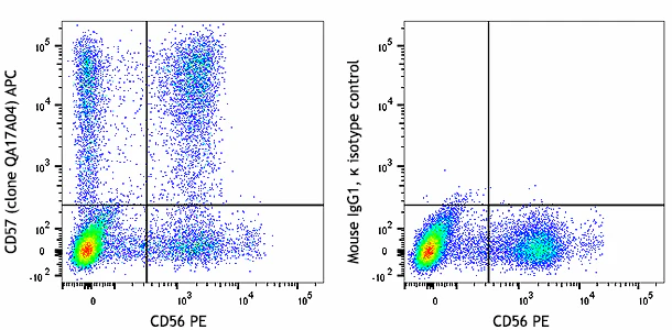 APC anti-human CD57 Recombinant