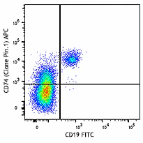 APC anti-human CD74 (Cytoplasmic)