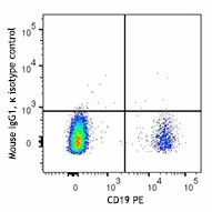 APC anti-human CD79b (Igβ) - Image 2