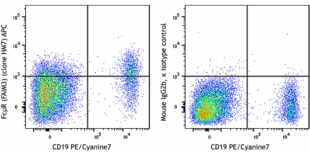 APC anti-human FcμR (FAIM3)