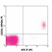 APC anti-human FcεRIα