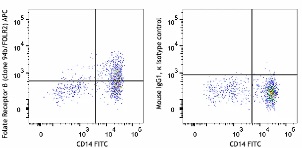 APC anti-human Folate Receptor β (FR-β)