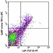 APC anti-human GARP (LRRC32)