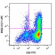 APC anti-human GM-CSF
