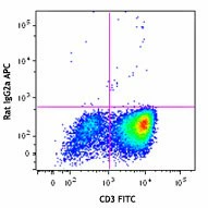 APC anti-human GM-CSF - Image 2
