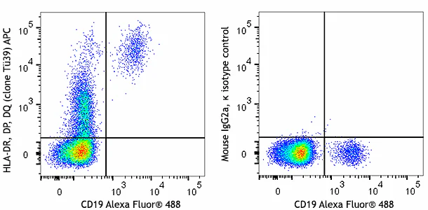 APC anti-human HLA-DR, DP, DQ