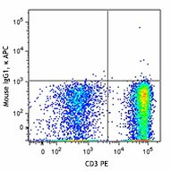 APC anti-human IFN-γ - Image 2