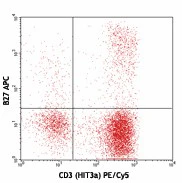 APC anti-human IFN-γ