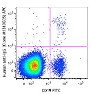 APC anti-human IgG Fc