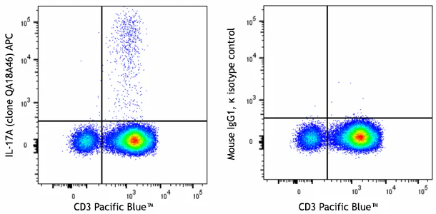 APC anti-human IL-17A Recombinant