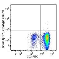 APC anti-human IL-31 - Image 2