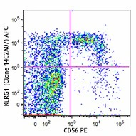 APC anti-human KLRG1 (MAFA)