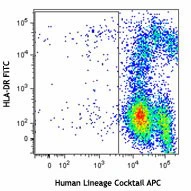 APC anti-human Lineage Cocktail (CD3/14/16/19/20/56)