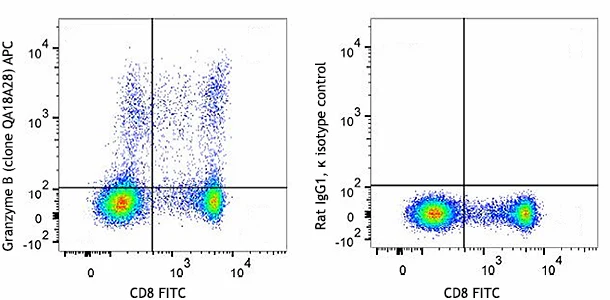 APC anti-human/mouse Granzyme B Recombinant