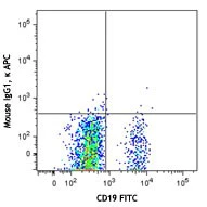 APC anti-human Siglec-10 - Image 2