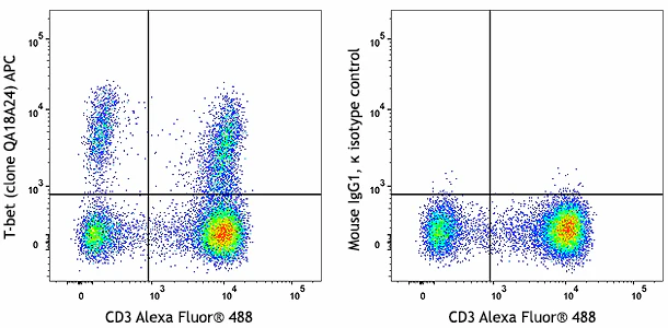 APC anti-human T-bet Recombinant