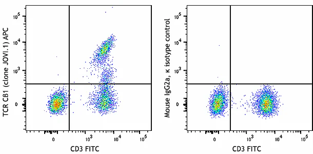 APC anti-human TCR Cβ1
