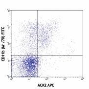 APC anti-mouse CD117 (c-kit)