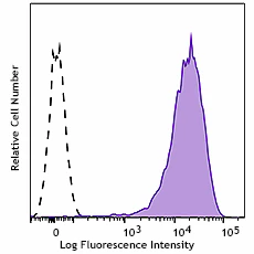APC anti-mouse CD13 Recombinant