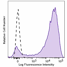 APC anti-mouse CD13 Recombinant