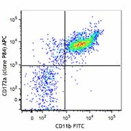 APC anti-mouse CD172a (SIRPα)
