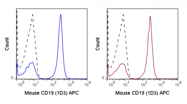 APC Anti-Mouse CD19 (1D3) - Image 2
