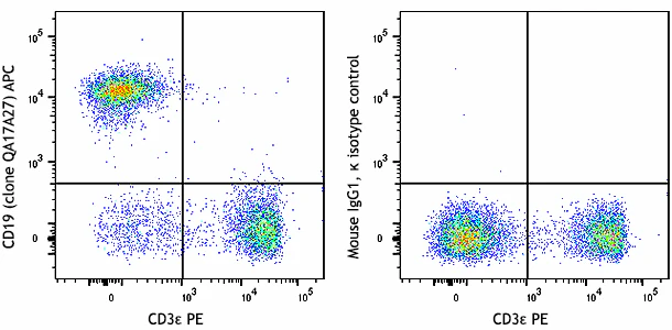 APC anti-mouse CD19 Recombinant