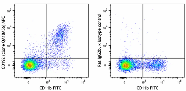 APC anti-mouse CD192 (CCR2) Recombinant