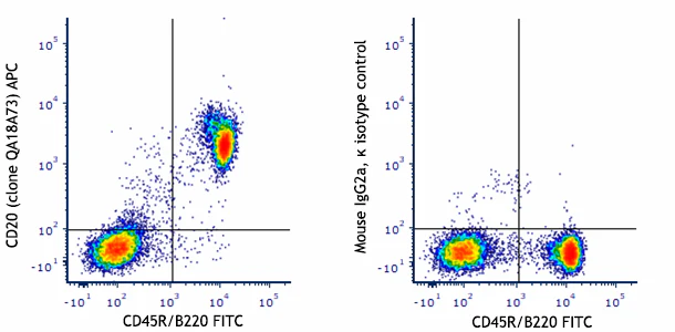 APC anti-mouse CD20 Recombinant