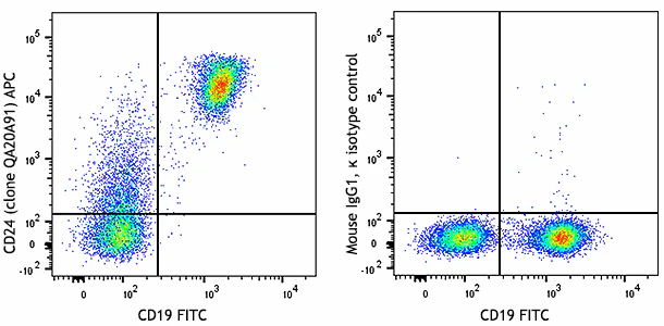 APC anti-mouse CD24 Recombinant
