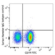 APC anti-mouse CD3ε - Image 2