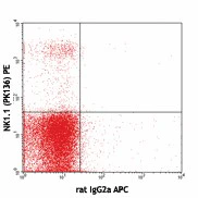 APC anti-mouse CD335 (NKp46) - Image 2