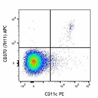 APC anti-mouse CD370 (CLEC9A, DNGR1)
