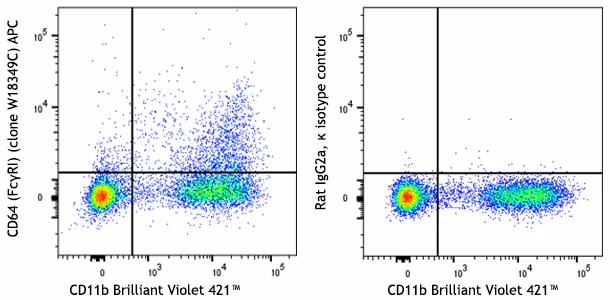 APC anti-mouse CD64 (FcγRI)