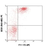 APC anti-mouse CD79a (Igα)
