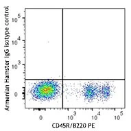 APC anti-mouse CD79b (Igβ) - Image 2